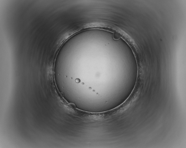 X0000116510937200912161336