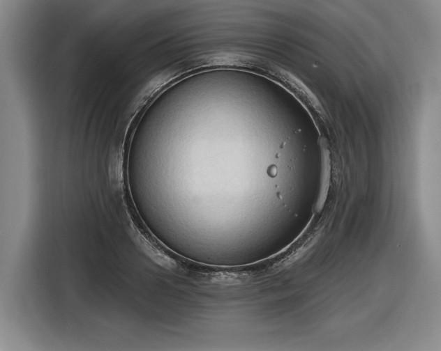 X0000116510938200912161336