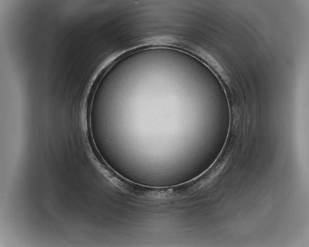 X0000116510939200912161336