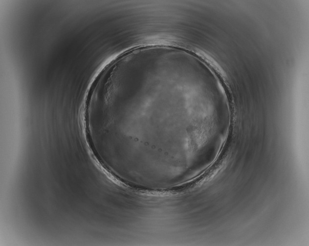 X0000116510941200912161336