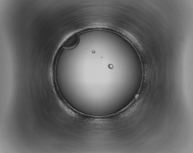 X0000116510942200912161336