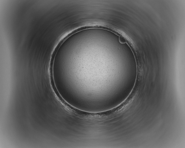 X0000116510943200912161336