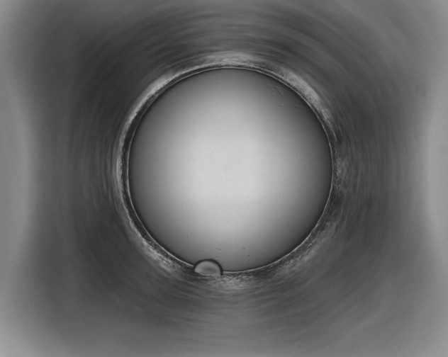 X0000116510947200912161336