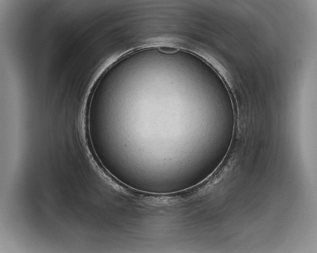 X0000116510949200912161336