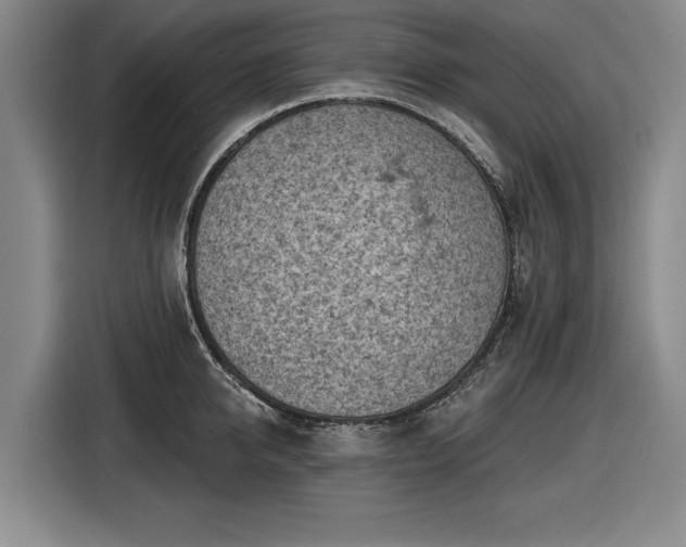 X0000116510950200912161336