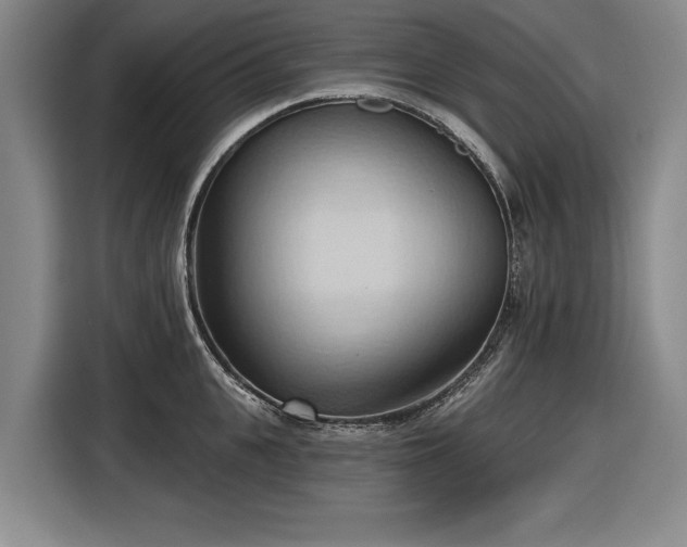 X0000116510951200912161336