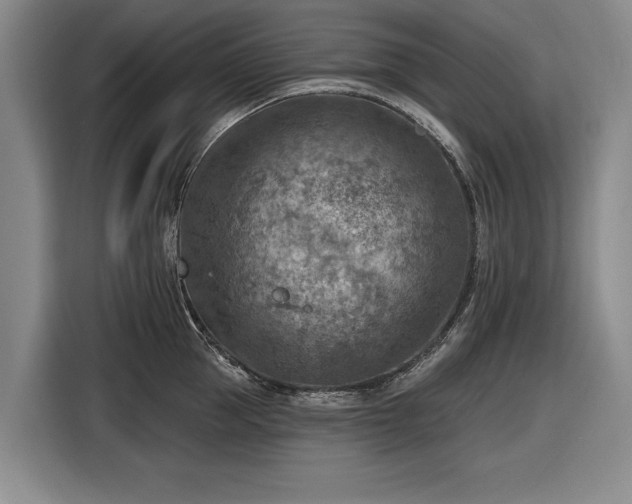 X0000116510953200912161336