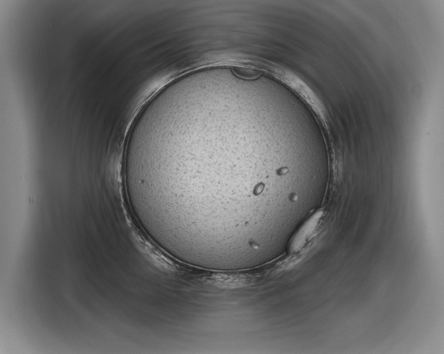 X0000116510954200912161336