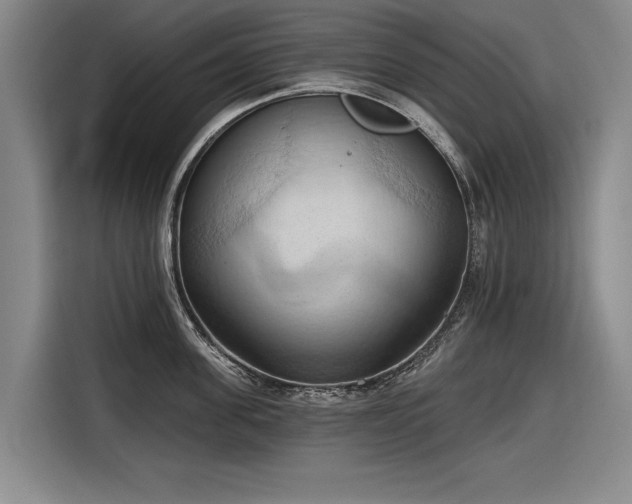 X0000116510955200912161336