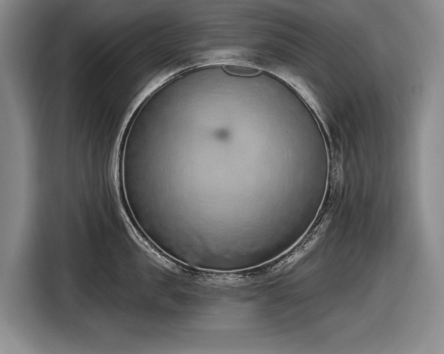 X0000116510957200912161336