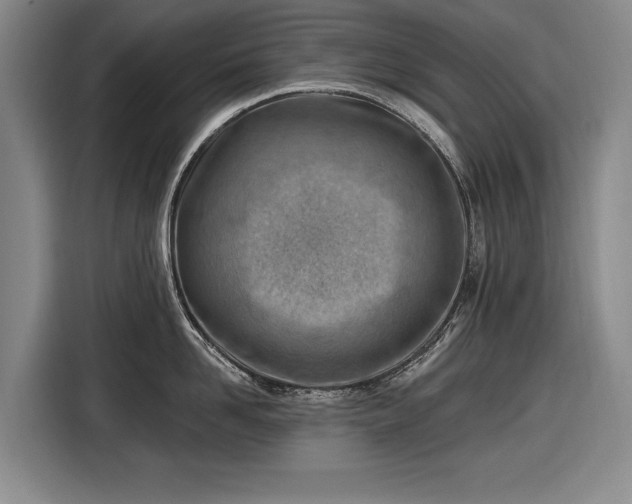 X0000116510958200912161336