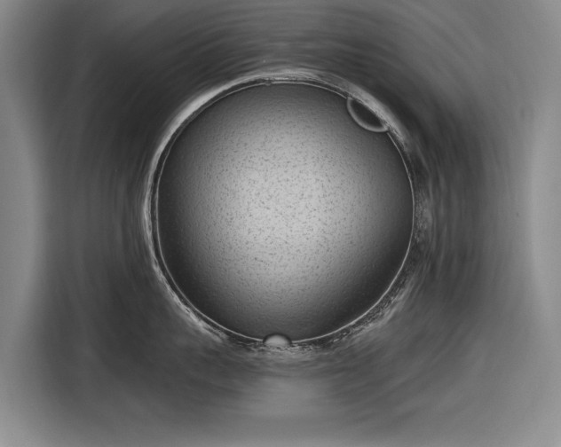 X0000116510959200912161336