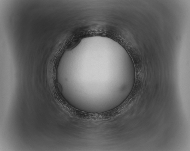 X0000116510961200912161335