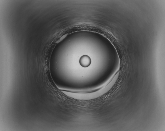 X0000116510965200912161335