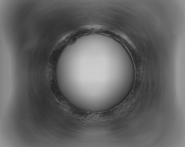 X0000116510967200912161335