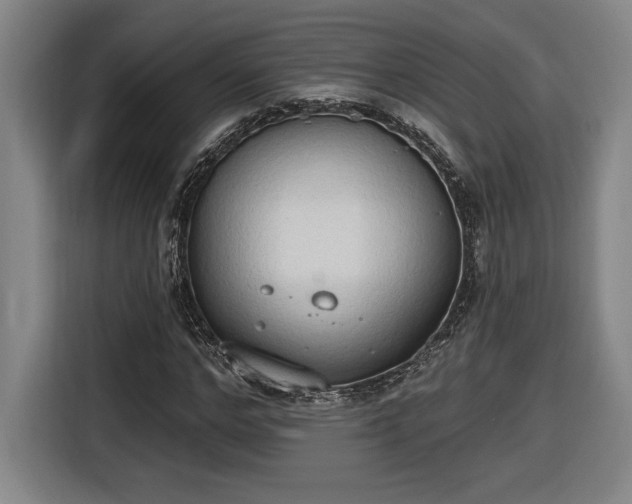 X0000116510968200912161335