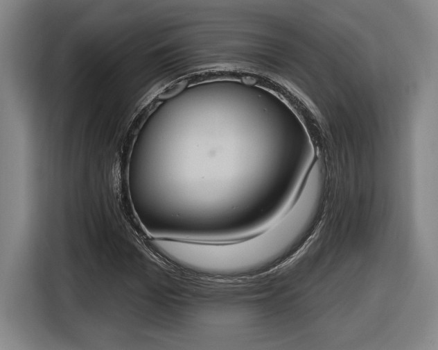 X0000116510969200912161335