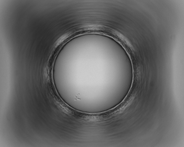 X0000116510970200912161335