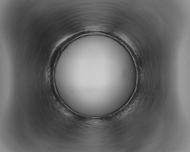 X0000116510971200912161335