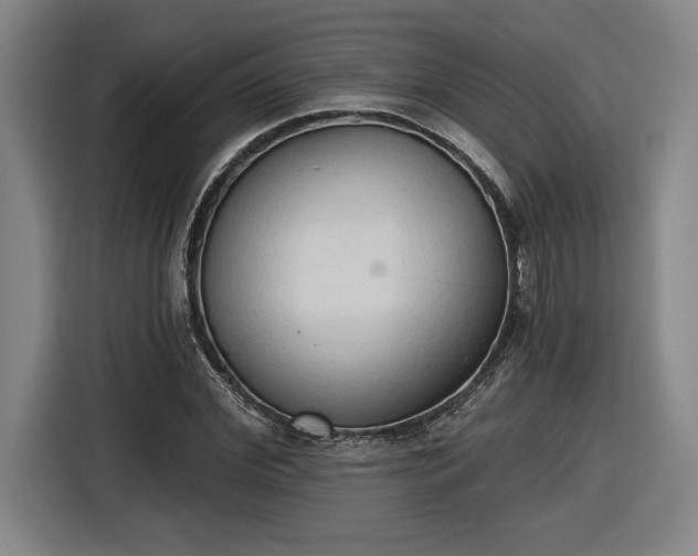 X0000116510972200912161335