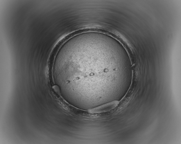 X0000116510975200912161335