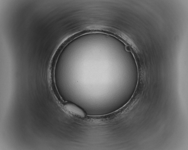 X0000116510976200912161335