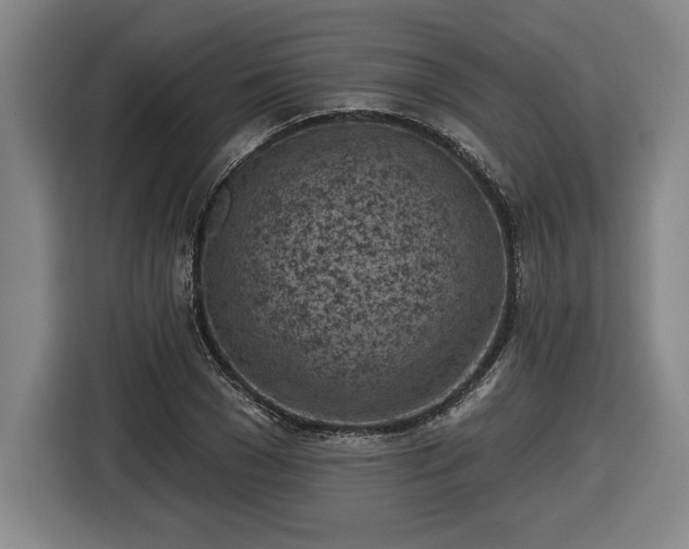 X0000116510977200912161335