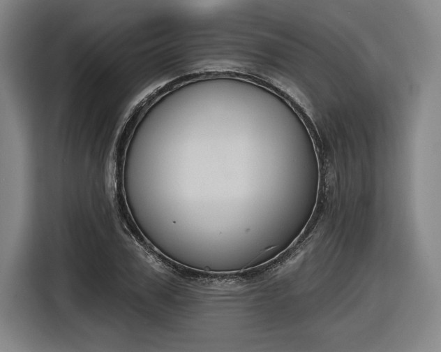 X0000116510979200912161335