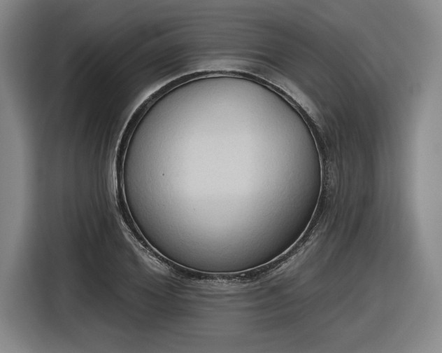 X0000116510980200912161335