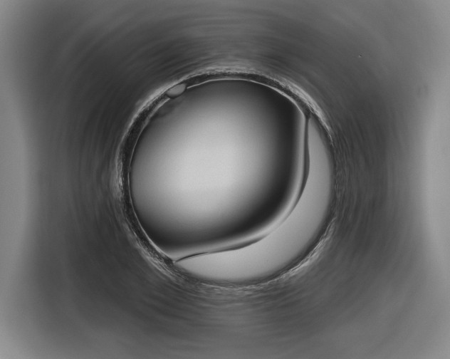 X0000116510981200912161335