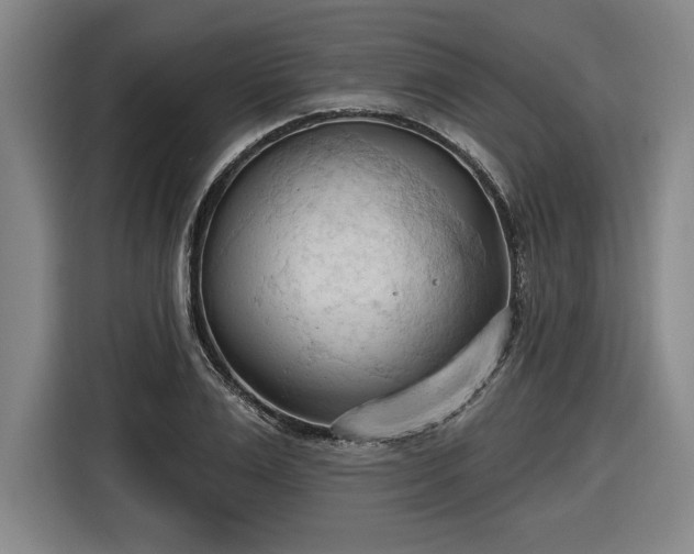 X0000116510983200912161335