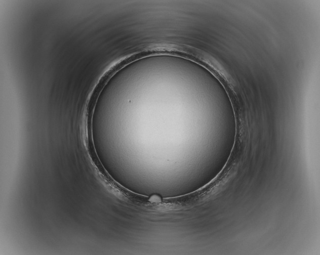 X0000116510984200912161335