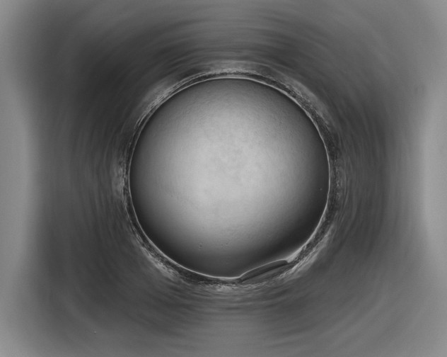 X0000116510985200912161335