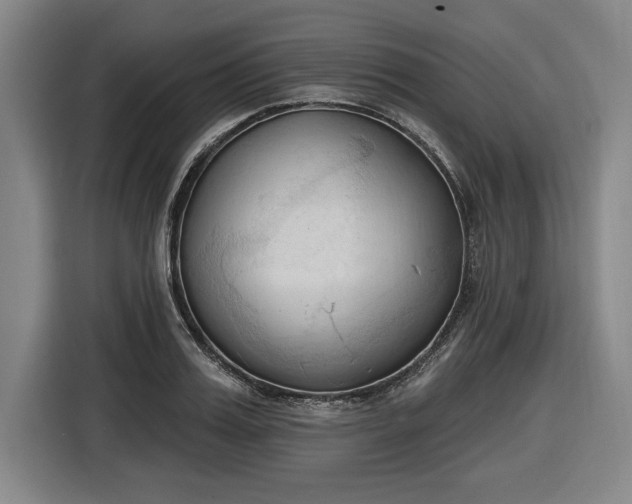 X0000116510987200912161335