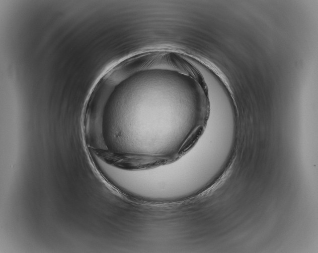 X0000116510989200912161335