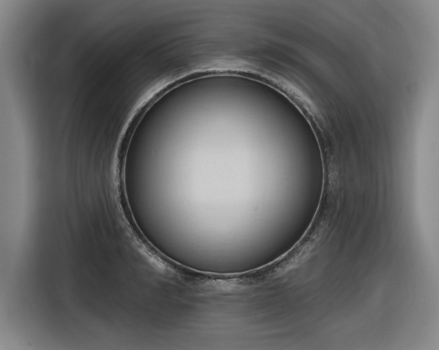 X0000116510990200912161335