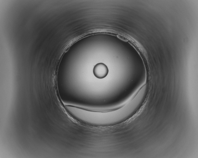 X0000116510993200912161335