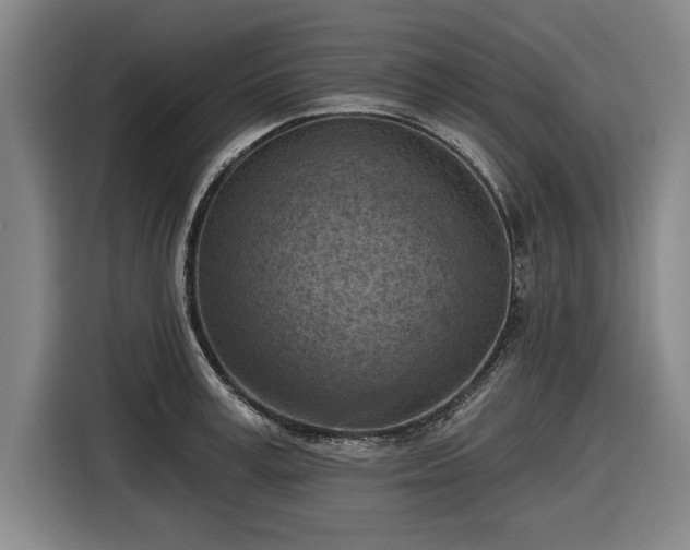 X0000116510995200912161335