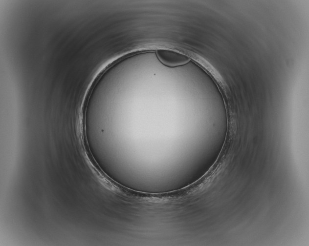 X0000116510996200912161335