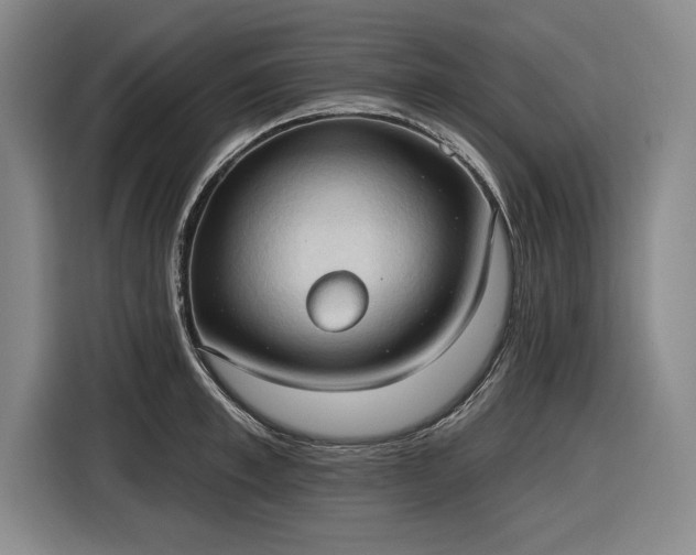 X0000116510997200912161335