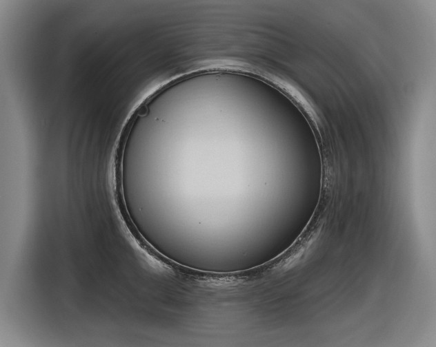 X0000116510999200912161335