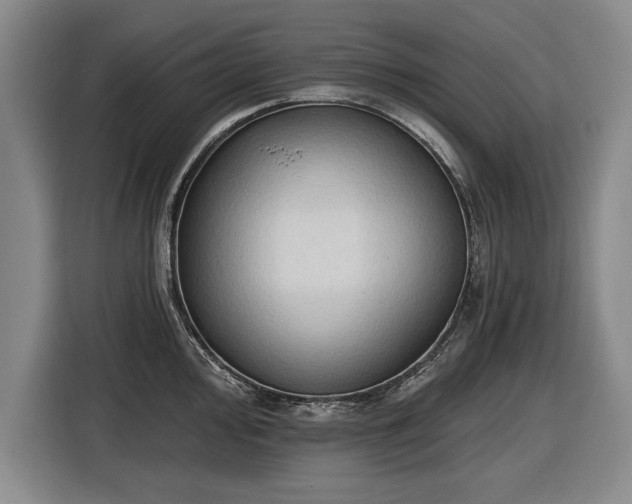 X0000116511000200912161335