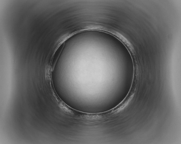 X0000116511001200912161335