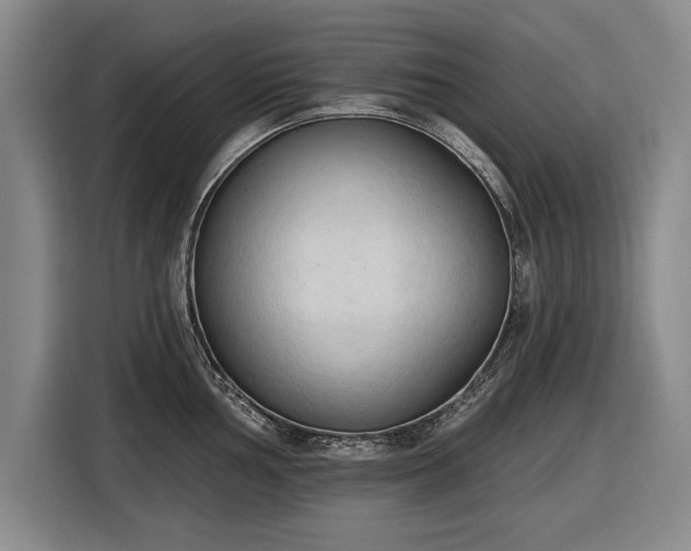 X0000116511002200912161335