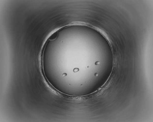 X0000116511003200912161335