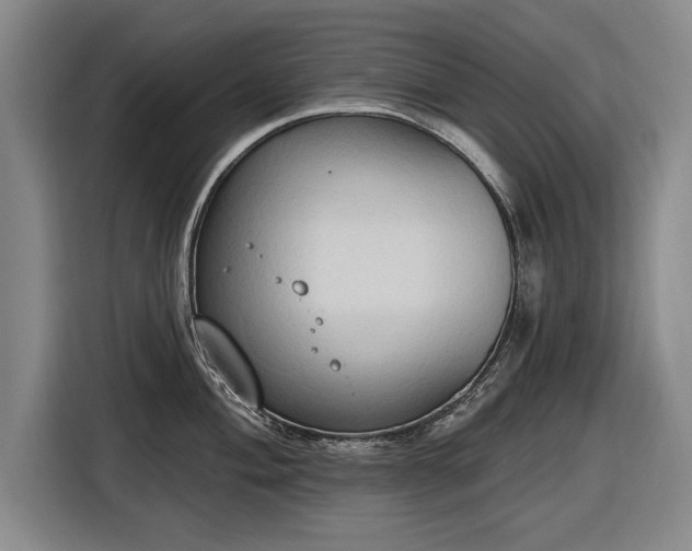 X0000116511004200912161335