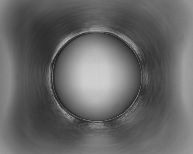 X0000116511006200912161335