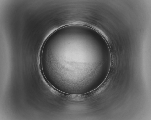 X0000116511007200912161335