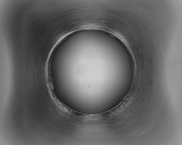 X0000116511008200912161335