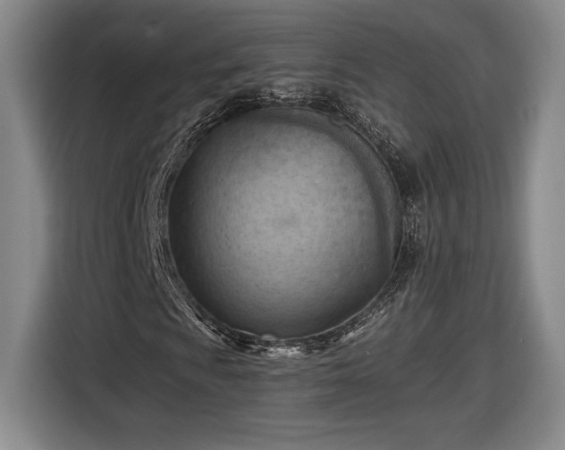 X0000116511009200912161334